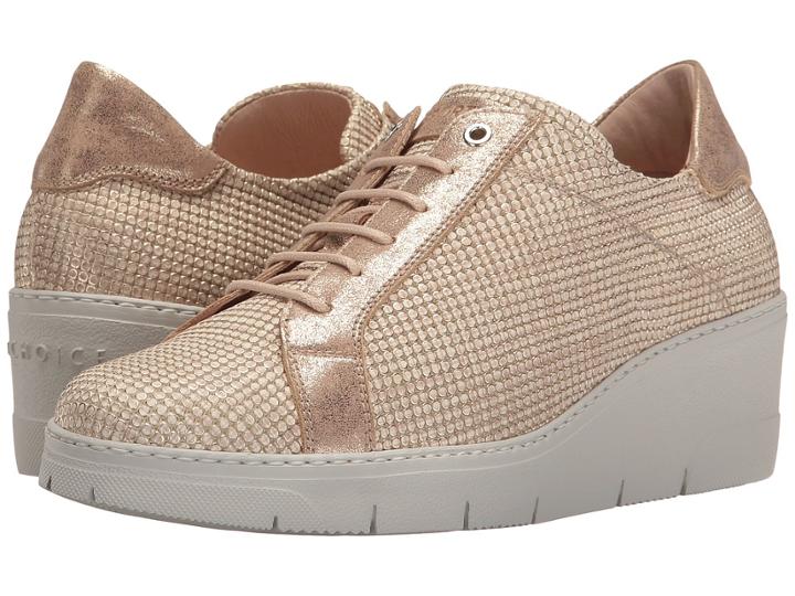 Hispanitas - Scottie