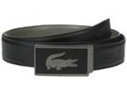 Lacoste - 30mm Gift Box 2 Buckles