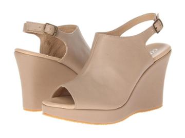 Cordani Wellesley