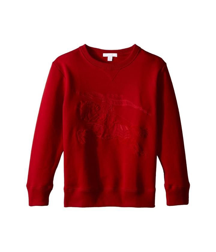 Burberry - Luxury Embroidered Sweater