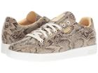 Puma - Match Animal