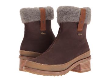 El Naturalista - Kentia N5122