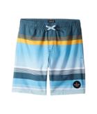 Quiksilver Kids - Swell Vision Volley 15