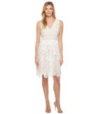 Maggy London - Vine Flower Lace Fit And Flare Dress