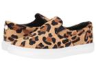 Steve Madden - Ecentrcl
