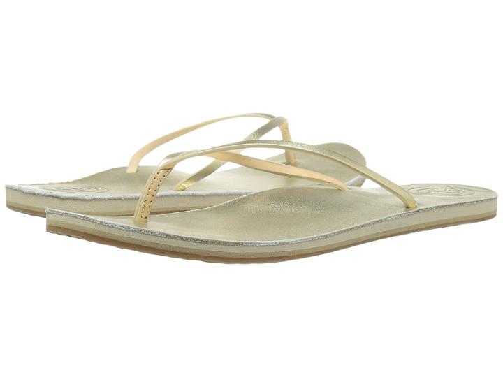 Cape Cod Shoe Supply - Apres