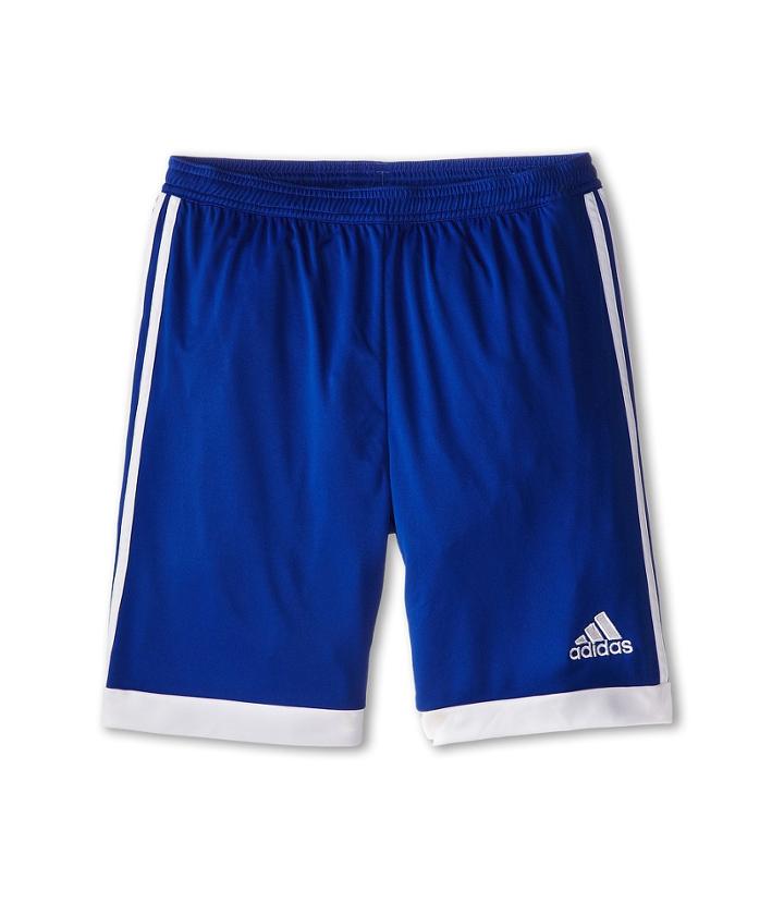 Adidas Kids - Tastigo 15 Short-drydye