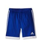 Adidas Kids - Tastigo 15 Short-drydye