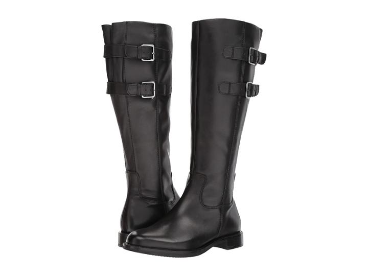 Ecco - Shape 25 Tall Buckle