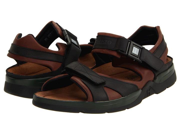 Mephisto Shark