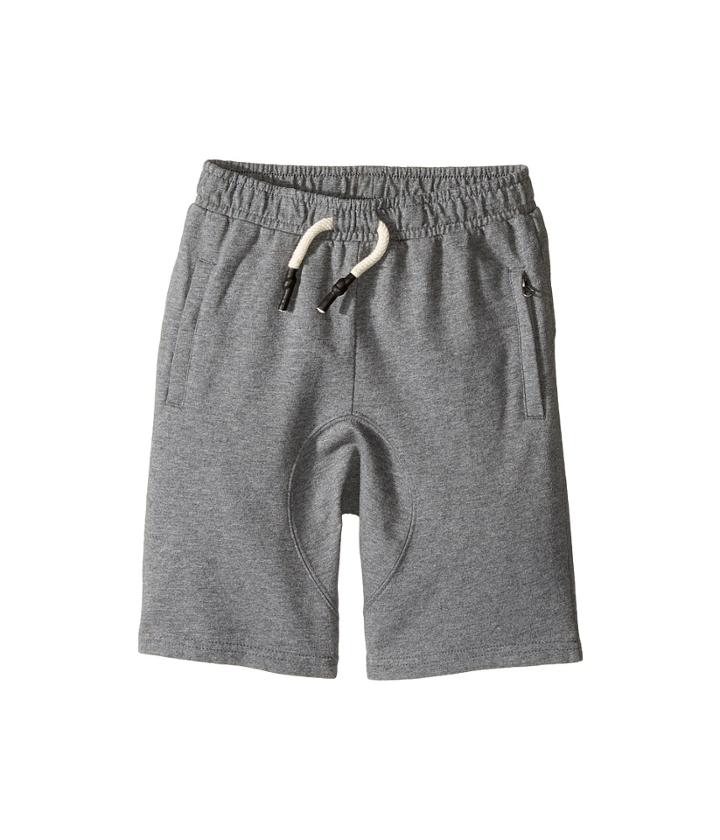 Appaman Kids - Reef Shorts