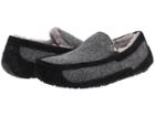 Ugg - Ascot Tweed