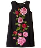 Dolce &amp; Gabbana Kids - Rose Cadi Sleeveless Dress