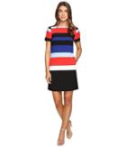 Tahari By Asl - Crepe Thick Stripe Shift Dress