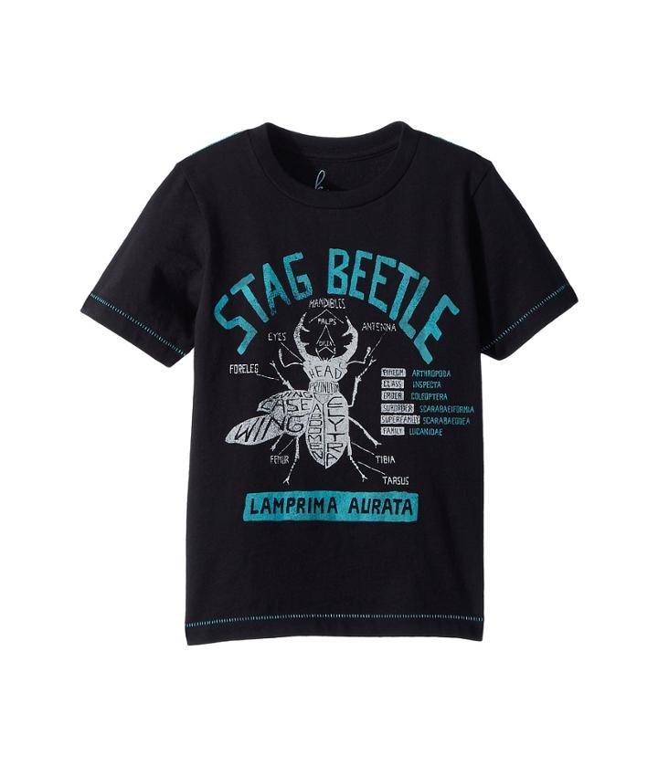 Peek - Stag Beetle Tee