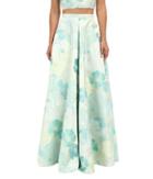 Rachel Antonoff - Tip Ballgown Skirt