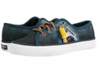 Sperry Top-sider - Jaws Seacoast Shark