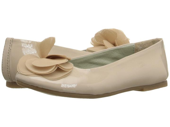 Pazitos - Silk Flower Bf Pu