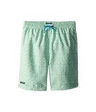 Toobydoo - Green/white Print W/ White Lace Drawstring Swim Shorts