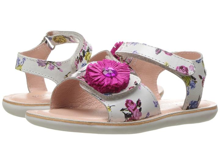 Pazitos - Mini Girasole
