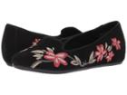 Aerosoles - Cosmetology
