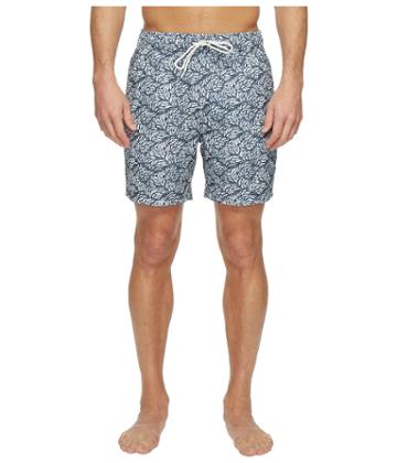 Nautica - Leaves Print Trunk