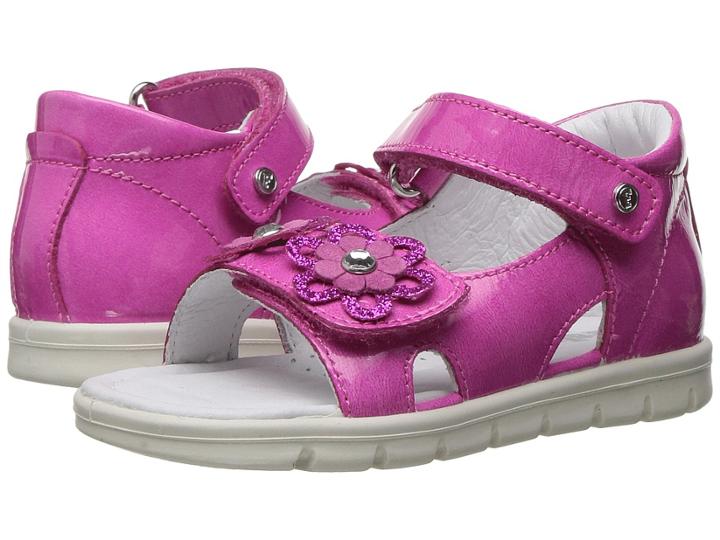 Naturino - Falcotto 1568 Ss17