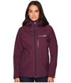 Adidas Outdoor - Terrex Fastr Gore-tex(r) Active Shell Hooded Jacket