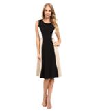Calvin Klein - Color Block Flare Dress