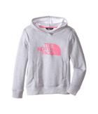 The North Face Kids - Logowear Pullover Hoodie