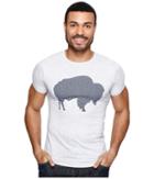 Mountain Khakis - Bison T-shirt