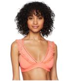 Isabella Rose - Swiss Miss Cami Bralette