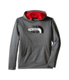 The North Face Kids - Surgent Pullover Hoodie