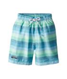 Toobydoo - Touch Of Green Stripe Swim Shorts