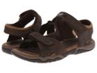 Timberland Kids - Earthkeepers(r) Oak Bluffs Leather 2-strap
