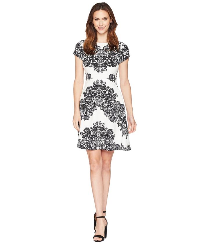 Adrianna Papell - Lace Printed Fit Flare Dress
