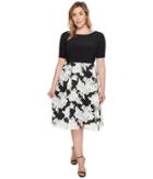 Adrianna Papell - Plus Size Savannah Crinkled Organza Print Fit And Flare Dress