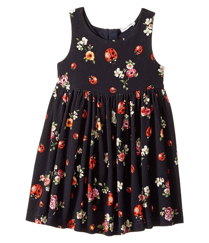 Dolce &amp; Gabbana Kids - Back To School Floral Dress