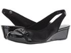 Anne Klein - Curve