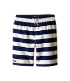 Toobydoo - Stripe Swim Shorts W/ White Lace Drawstring