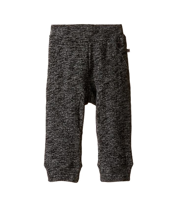 Appaman Kids - Mini Parker Sweats