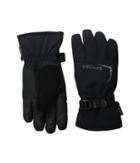 Spyder - Traverse Gore-tex(r) Ski Glove