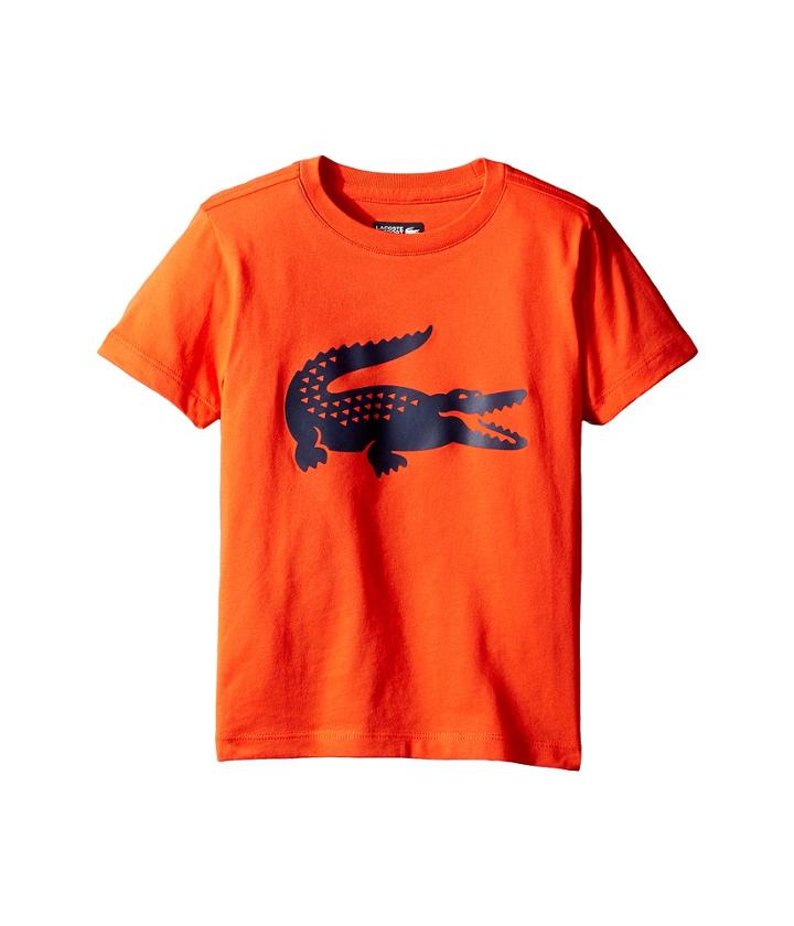 Lacoste Kids - Sport Croc Graphic Tee