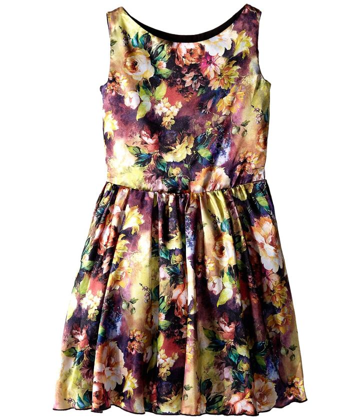 Fiveloaves Twofish - Painted Lady Dress