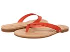 Ugg - Allaria Ii Exotic