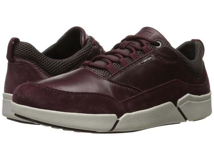 Geox - Mailand1