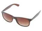 Ray-ban Rb4202 Andy 55mm