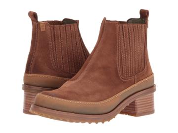 El Naturalista - Kentia N5121